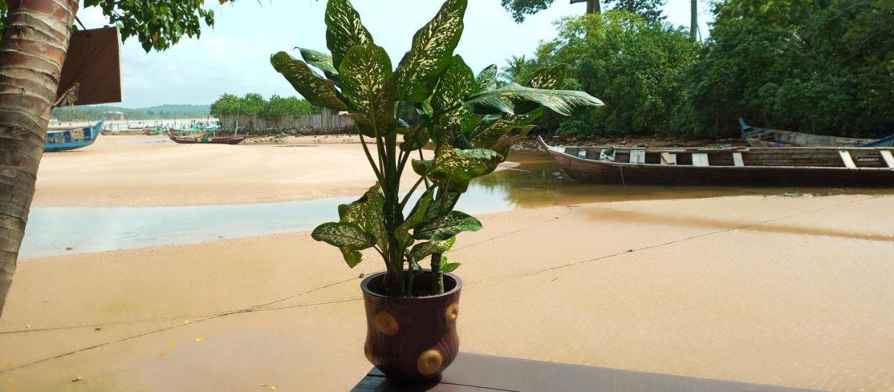 Scorpion Hill Lodge Busua Pokój zdjęcie